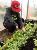 Kittery School District – The Year of the Salad Bar