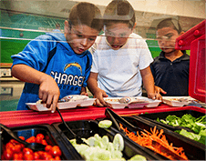 Salad Bars and Farm to School: A Healthy Match