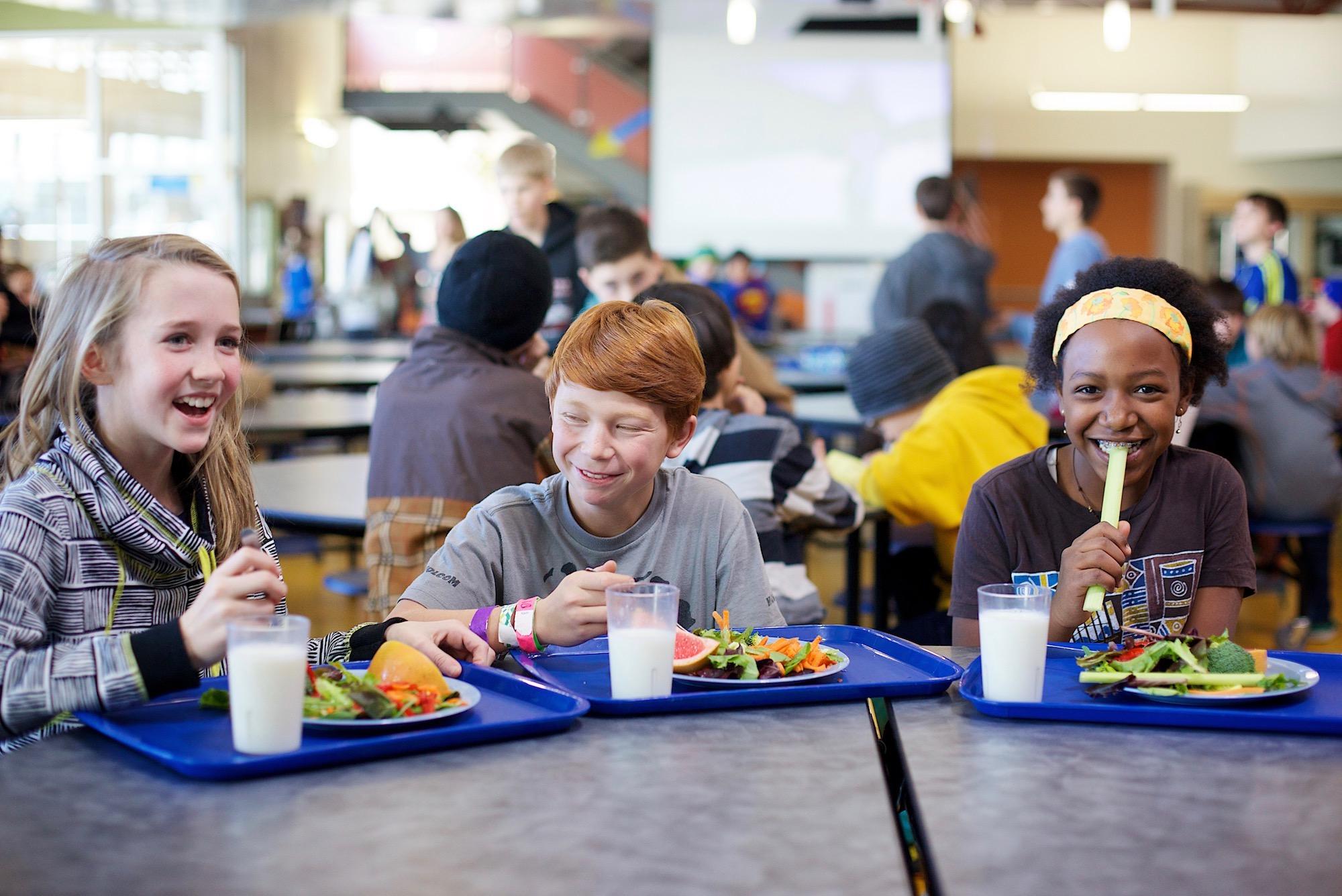 Why Should Schools Have Salad Bars?